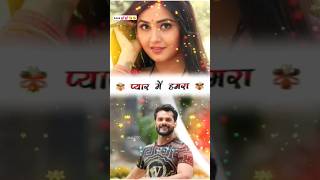 VIDEO  करेजा हवा ए राजा  Shorts video statusShilpi Raj  Kareja Hawa Raja Bhojpuri Gaana new [upl. by Janessa]