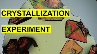 Crystallization Process Experiment  Time Lapse [upl. by Brower54]