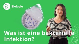 Bakterielle Infektion Übersicht Schutz und Behandlung – Biologie  Duden Learnattack [upl. by Huei]