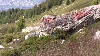 marmot  Les Chottes  Thyon 2000  Valais  Switzerland 16082014 [upl. by Moselle]