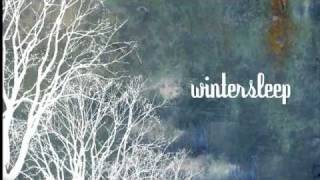 Wintersleep  We Three Kings [upl. by Yortal291]