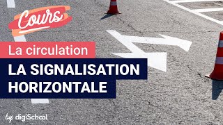 La signalisation horizontale  Code de la route [upl. by Fred]