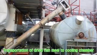 4 1 Fish meal production with fish waste20ton day [upl. by Enrichetta]