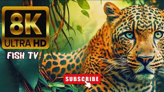 🦣🦁🐘 Amazing Animal Moment  4K UHD Animal Of Tha World 🌎 🐘🦁 wildlife africa shorts [upl. by Eldrida972]