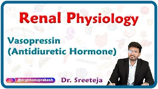 Vasopressin Antidiuretic Hormone  Renal physiology USMLE Step 1 [upl. by Edya63]