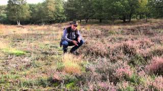 Het Drentse Landschap  Orvelterzand  Drenthe [upl. by Anallise]