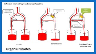 Organic Nitrates  Drug Used in Ischemic Heart Disease Part2 [upl. by Riplex]