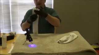 Wine Stain removal with UV Light on Synthetic Carpet [upl. by Nerrad]