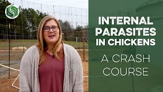 Preventing Internal Parasites in Chickens A Crash Course [upl. by Yanarp109]