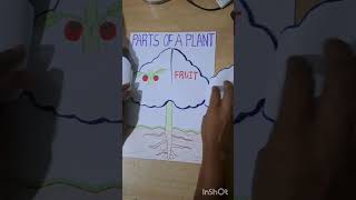 parts of a plant kindergarten trending kids plant parts [upl. by Eyllek318]