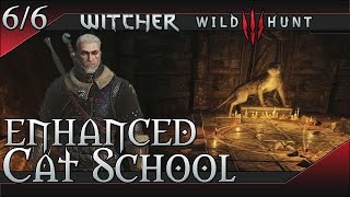 The WItcher 3 Wild Hunt Enhanced Cat Feline School Gear Set [upl. by Cordey318]