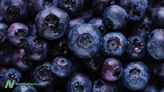 Benefits of Blueberries for the Brain [upl. by Mattson]