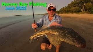 Hervey Bay Land Based Fishing  June 2022 [upl. by Allac]