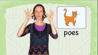 Leer het gebaar voor Poes Kindergebaren met LotteampMax [upl. by Halette]