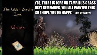 The Lore of Tamriels Grass  The Elder Scrolls Lore [upl. by Berger]