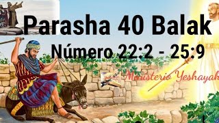 Parasha 40 Balak Aliyá 7 [upl. by Corley138]