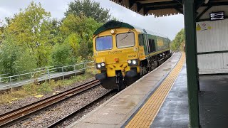 66547 Freightliner 4L87 containers amp 66507 on tow 1344 3L Lea Road 1102024 [upl. by Medardas8]