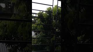 bajta hai jal tarangbaarish🌈🌈💦💦trendingsongviralyoutubeshortsmusic [upl. by Ardnaet865]