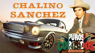 Chalino Sanchez Mix Para Pistear Chalino Sanchez Corridos  Puras Románticas30 Éxitos Inolvidables [upl. by Atnahc326]