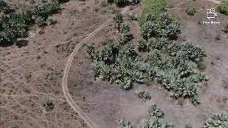 LAND FOR SELL IN GUNJUR GAMBIA NAMED KUNTA KINTEH [upl. by Doy595]