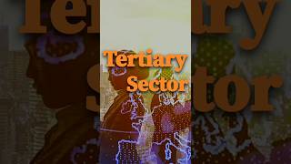 What is tertiary Sector  Tertiary Sector is also known as Service Sector  class9 economics [upl. by Armstrong52]