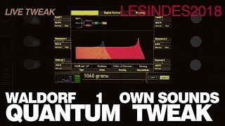 WALDORF QUANTUM  OWN SOUND CREATIONS  1 [upl. by Carmita343]