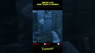 Bencana Tsunami Terbesar [upl. by Merrick]