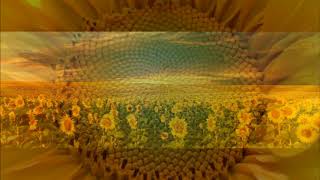 Nana Mouskouri  Le Tournesol [upl. by Rayham]