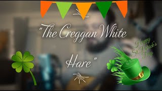 The Creggan White Hare  Irish Bouzouki  In the style of Daoirí Farrell [upl. by Coulombe975]