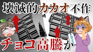 【異常】チョコレートの価格高騰！？壊滅的なカカオの不作でヤバいことに… [upl. by Ahsiki]