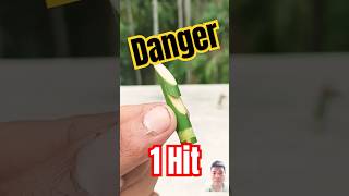 Bamboo creations with slingshots diycrafts slingshot toys diy [upl. by Kizzee]