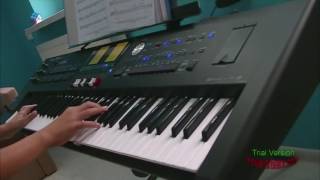 Jurij Shatunov Bielyje rozy keyboard Roland BK 9 [upl. by Horwitz]