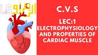 CVS 1st lec electrophysiology and properties of cardiac muscles [upl. by Boyt797]