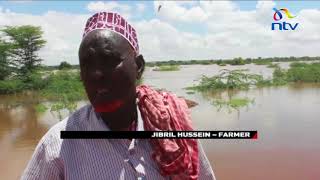 Floods in Mandera have completely destroyed most farms [upl. by Eiramlirpa]