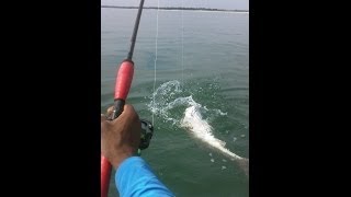 Kayak Fishing at the Murrells Inlet SC Jetties [upl. by Anirbac697]