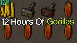 12 HOURS Of Demonic Gorillas Duo  Loot Video [upl. by Costanzia]