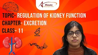 Topic  Regulation of Kidney Function  Class 11th  Chapter  Excretion  Kkouts [upl. by Loggia]