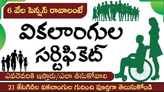 Rpwd Act 2016 Rpwd act disability cetogires details telugu [upl. by Hach473]