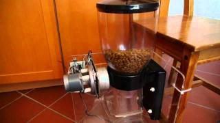 Automatic cat feeder with stepper motor and ATMega AVR [upl. by Mhoj]