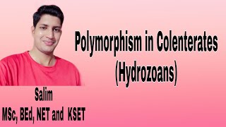 Polymorphism in CoelenterataHydrozoans  Different types of zooids in hydrozoans [upl. by Neela947]