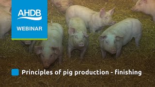 AHDB Pork Principles of Pig Production Finishing amp Growing [upl. by Pfeffer7]