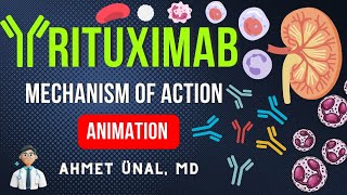 🎬 RITUXIMAB MECHANISM of ACTION in LUPUS NEPHRITIS  MNEMONIC ANIMATION [upl. by Idna277]