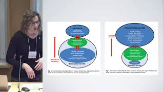 Christina Pridmore DScO In Common Thinking in Physiotherapies in EDS [upl. by Aiva]