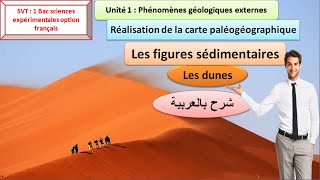 Les figures sédimentaires les dunes 1 Bac sc ex شرح بالعربية [upl. by Novonod]