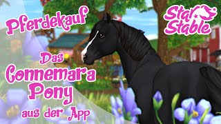 Star Stable SSO Das Connemara Pony aus der App Pferdekauf [upl. by Paymar]