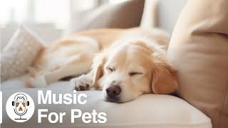 Soothing Music for Dogs to Calm Down Relax amp Sleep  Dog Music Therapy Calming Aid for Relaxation [upl. by Michele679]