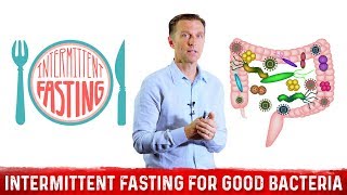 Supercharge Your Gut Bacteria with Intermittent Fasting – Dr Berg [upl. by Yddor195]