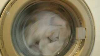 Zanussi ZFL1023 Jetsystem Cottons 60c Main Wash [upl. by Oirevlis]