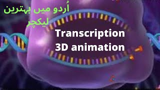 Transcription3D animation [upl. by Anattar516]