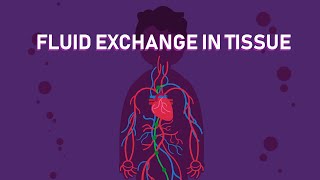 How The Exchange of Body Fluids in Tissues Happens  Biology [upl. by Oni]